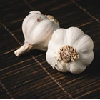 China White Garlic 2