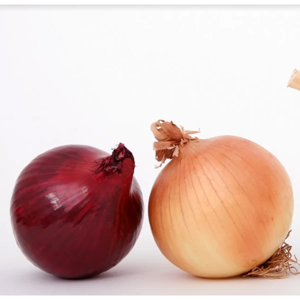New Zealand Onion 