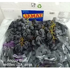 USA Black SEEDLES Grapes  JAMAT 1