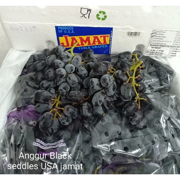 Anggur Amerika Black Seedless "JAMAT"
