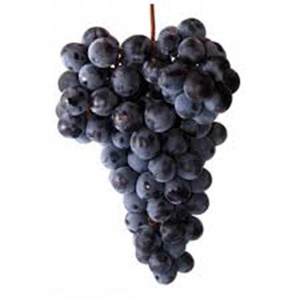 USA Black SEEDLES Grapes  JAMAT