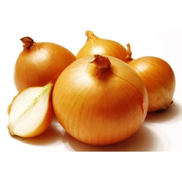 New Zealand Onion INTEGROW