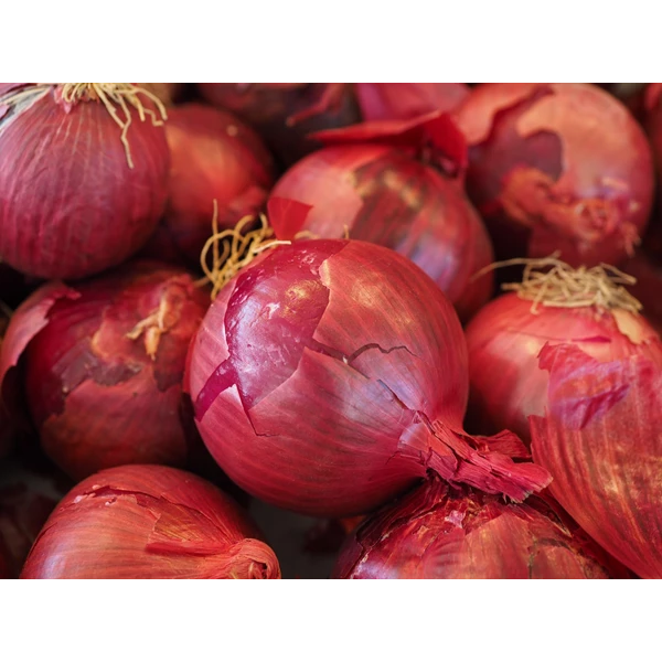 Red Onion New Zealand