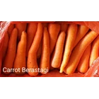 Fresh carrot Brastagi 1