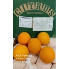Valencia Orange Africa Citrus 1