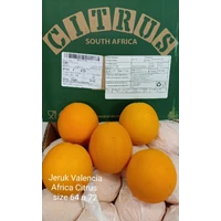 Valencia Orange Africa Citrus