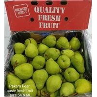 Pakam Pear Australia Fresh Fruit S'54 S'68