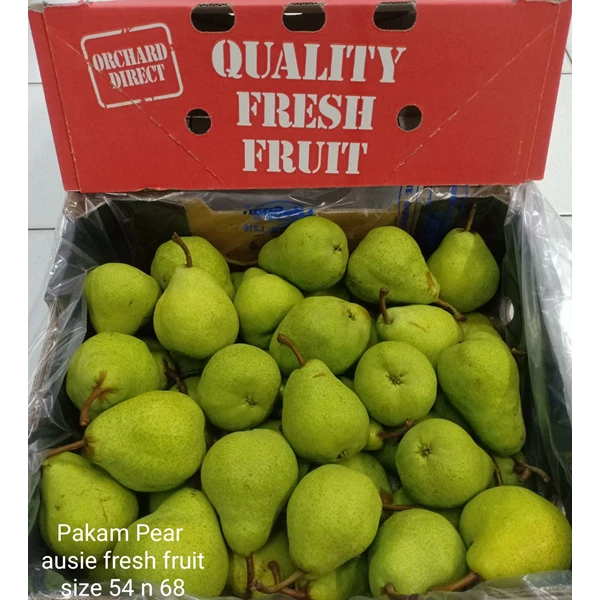 Pakam Pear Australia Fresh Fruit S