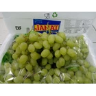 Australia grapes 1