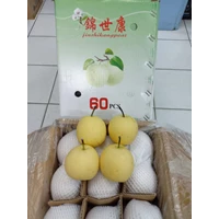 Century Pear RRC Jinshikang Pear