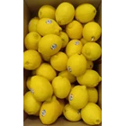 Jeruk Lemon Australia 'SUNKIST ' 1
