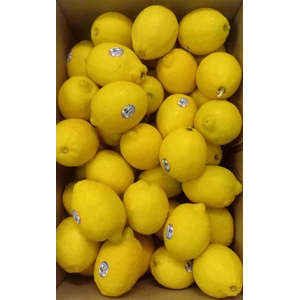 Jeruk Lemon Australia 'SUNKIST '