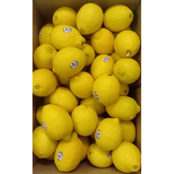 Jeruk Lemon Australia 