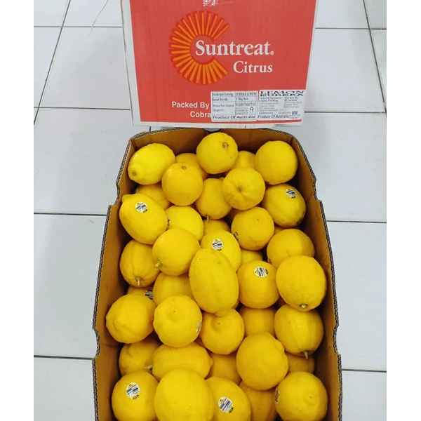 Lemon Suntreat Australia Class 1